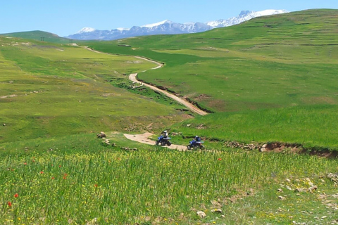 From Marrakech: Lalla Takerkoust Camel Ride & Quad Bike Tour