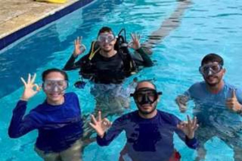 Cartagena: PADI Open Water Diver Course with Certification