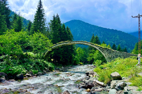 From Trabzon: 5-Day Turkish Black Sea and Batumi Tour