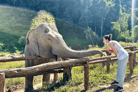 Chiang Mai: Día Completo Santuario Ético de Elefantes y Cascada