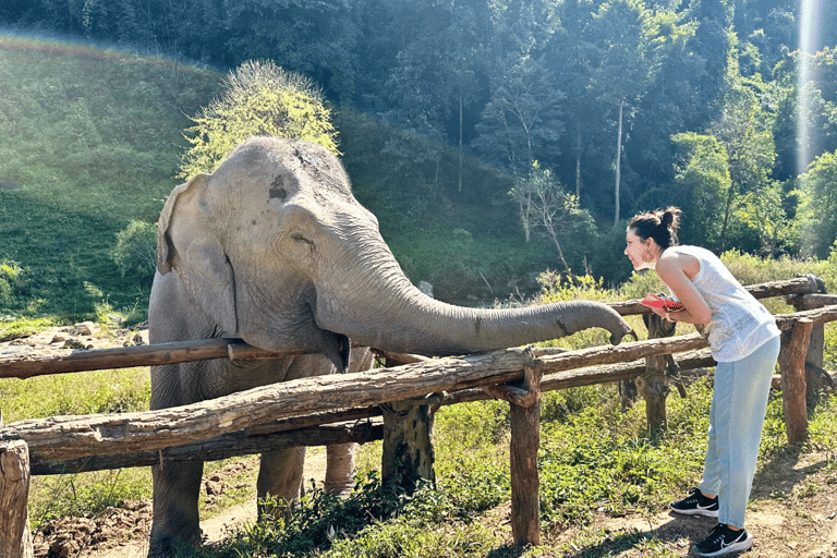 Chiang Mai: Día Completo Santuario Ético de Elefantes y Cascada