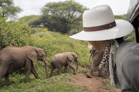 2 dias Tanzânia Budget Lodge Tarangire &amp; Ngorongoro