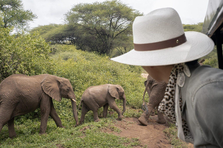 Alojamiento económico de 2 días en Tanzania Tarangire y NgorongoroAlbergue económico de 2 días en Tanzania Tarangire y Ngorongoro