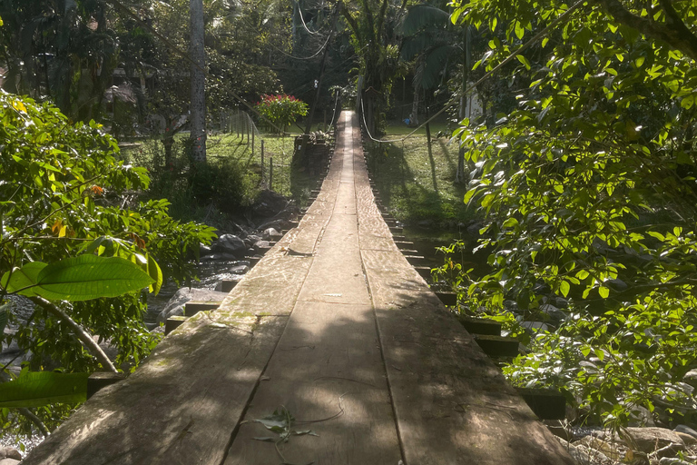 Paraty: Serra da Bocaina National Park Guided Hike