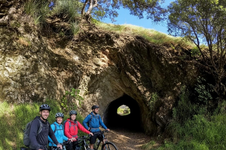 Auckland: Westcoast Black Sand Fatbike Tour Private Tour with Transport
