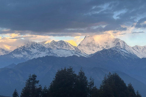 Pokhara: 5-Day Poon Hill Trek with Guide and Transfers