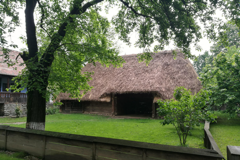 Panoramaturné i Bukarest med tre stopp och två besök.