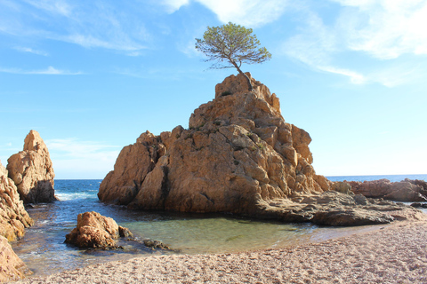 Desde Barcelona: Excursión de un día a Tossa de Mar con tiempo de playa