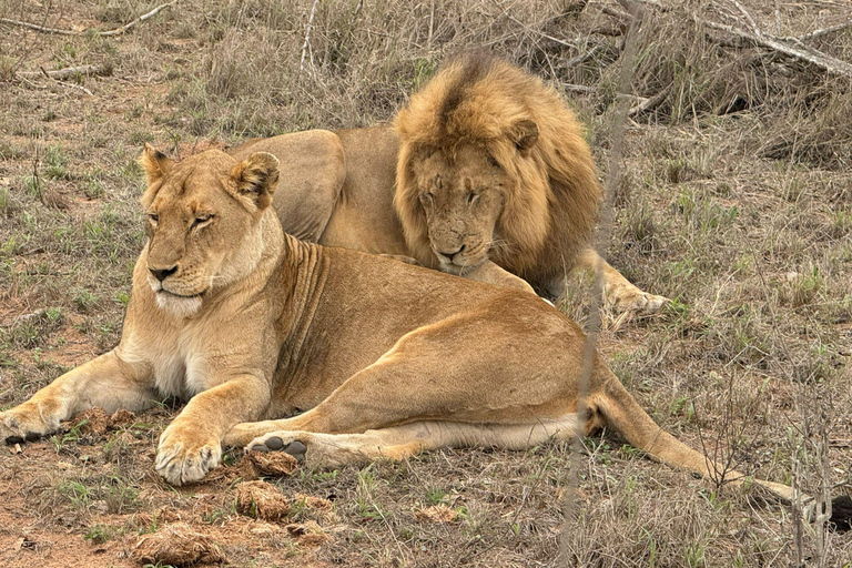 Vanuit Johannesburg: 6-daagse luxe Kruger Park safari