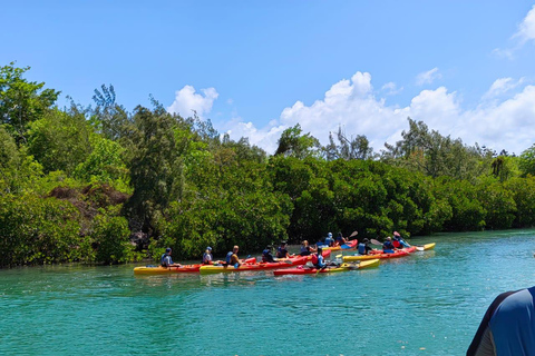 Ile d Ambre Kayakkayak en el Parque Nacional de Ile d Ambre