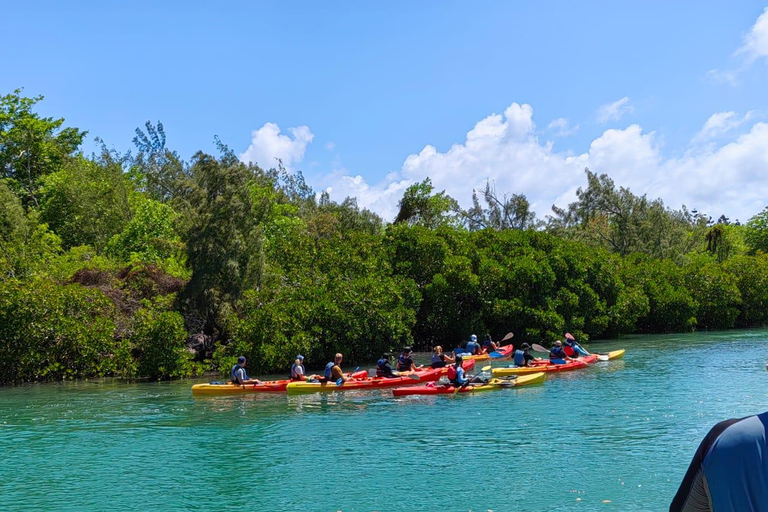 Ile d Ambre Kayakkayak en el Parque Nacional de Ile d Ambre