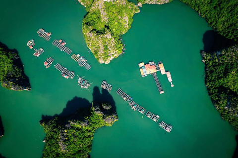 Halong & Lan Ha: 2D1N Celina of the Sea 6-Star Luxury Cruise Without Transfer Service