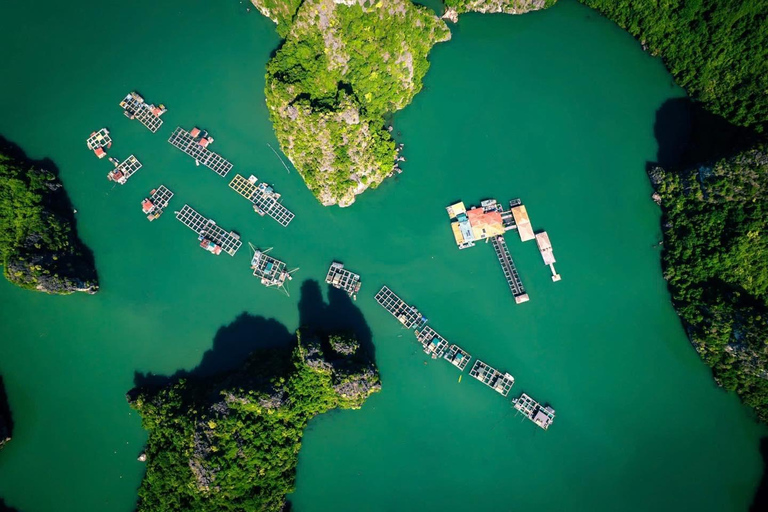 Halong & Lan Ha: 2D1N Celina of the Sea 6-Star Luxury Cruise Without Transfer Service