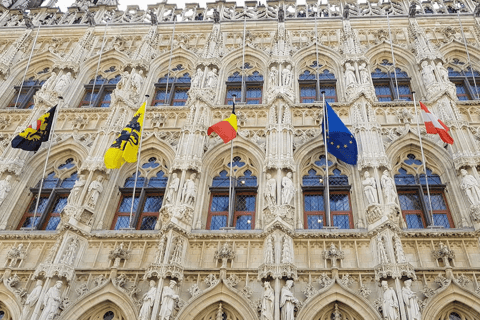 Belgia: Wycieczka pociągiem do Mechelen i Leuven