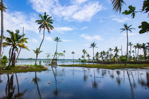 A beleza encantadora de Kerala: Uma viagem de 5 dias a partir de Cochin