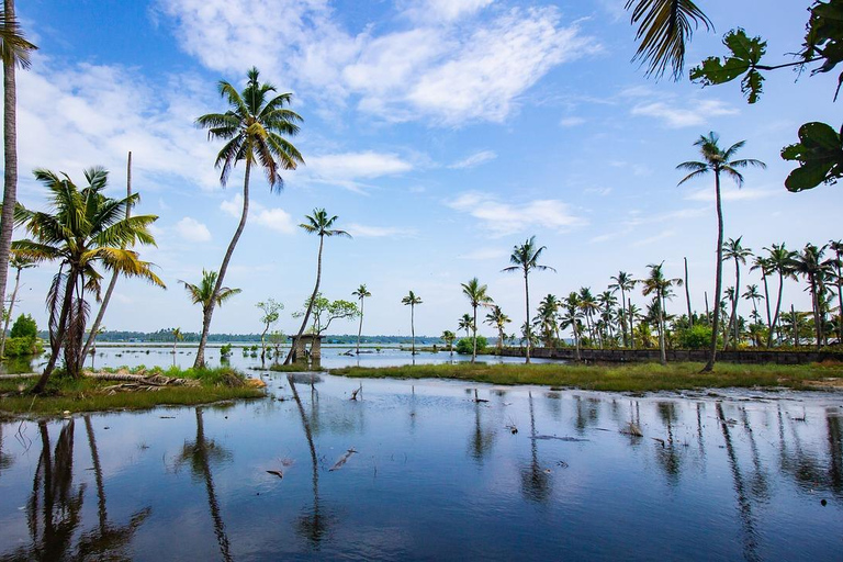 La beauté enchanteresse du Kerala : Un circuit de 5 jours au départ de Cochin