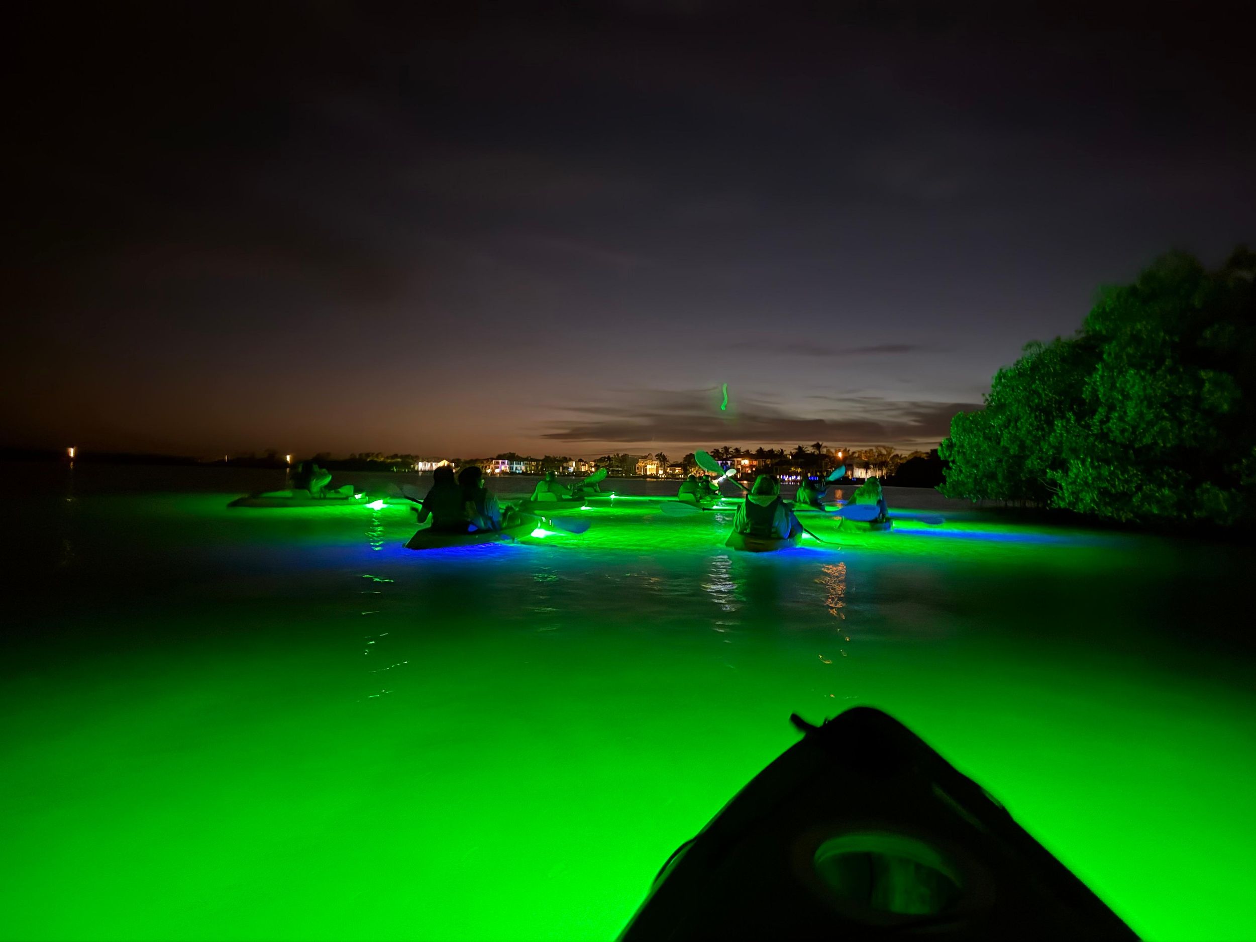 Nächtliche LED-Kajak-Tour mit Glasboden und Fischfütterung!
