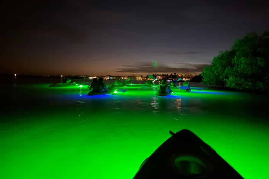 Nächtliche LED-Kajak-Tour mit Glasboden und Fischfütterung!. Foto: GetYourGuide