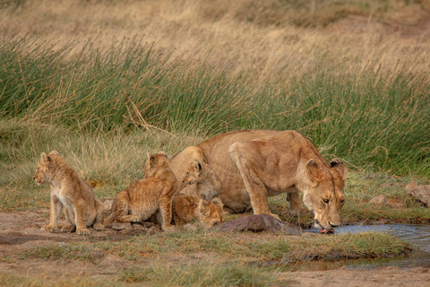 Zanzibar: Lake Manyara Safari & Culture Explore with Flight Zanzibar: Lake Manyara Safari & Culture Explore with Flight