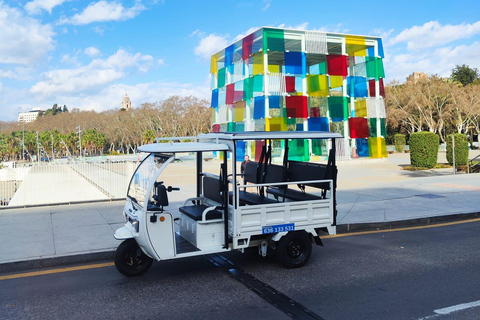 Málaga: Tour guiado particular de Tuk-Tuk