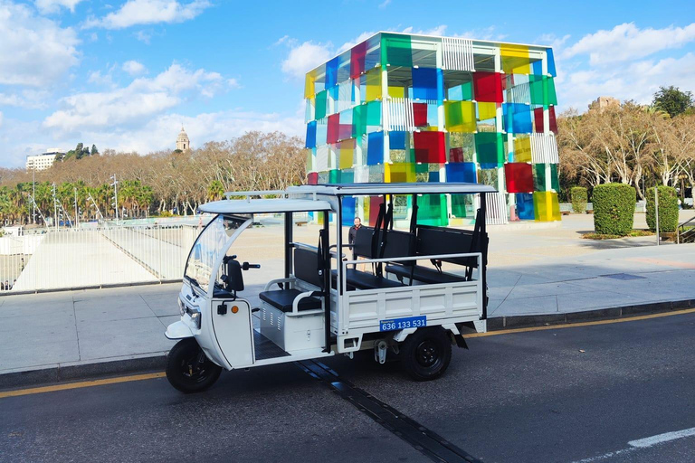 Malaga: Tour privato guidato in Tuk-Tuk