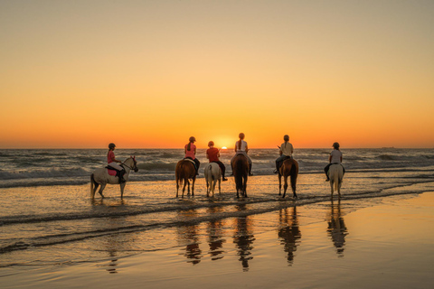 Aruba: Sunrise or Sunset Horseback Ride by the Coast