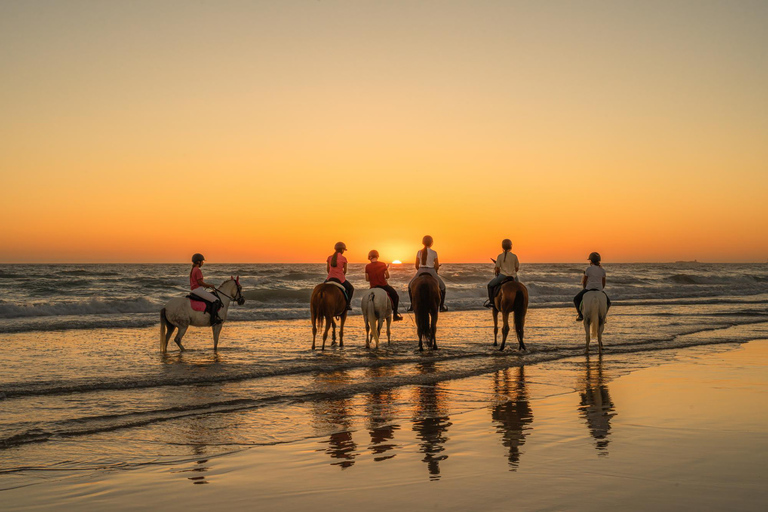 Aruba: Sunrise or Sunset Horseback Ride by the Coast