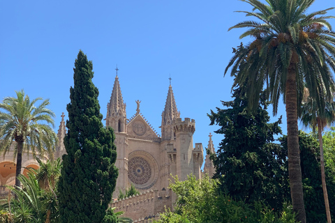 Palma de Mallorca: Private Guided Walking Tour with Tapas