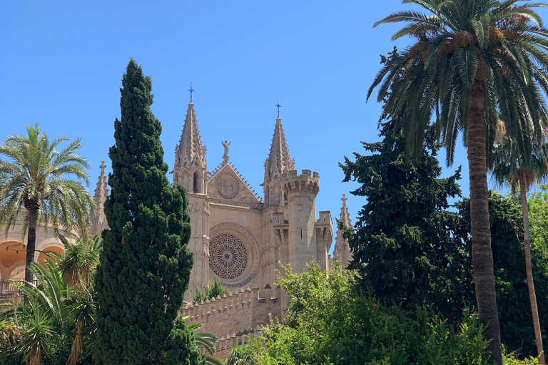 Palma de Mallorca: Private Guided Walking Tour with Tapas