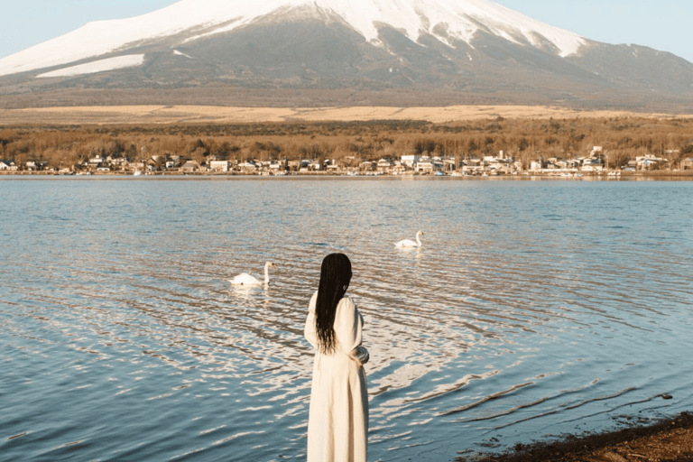From Tokyo Mount Fuji Private Customizable Tour with Guide