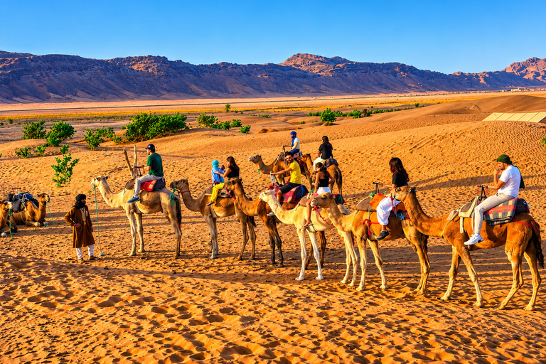 From Agadir: 2-Day Zagora Desert Tour, Camel Ride & Camp Shared Tour – Luxury Desert Camp & Camel Rides