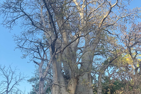 Santiago: Cidade Velha Beginner Hike with Lunch