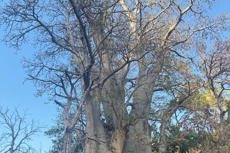 Santiago: Cidade Velha Beginner Hike with Lunch