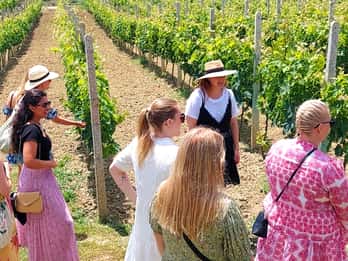 Durres landsbygd Vingårdar Vin- och matprovning