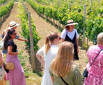 Von Durres/Tirana: Wein- und Essensverkostungs-Tour auf dem Land