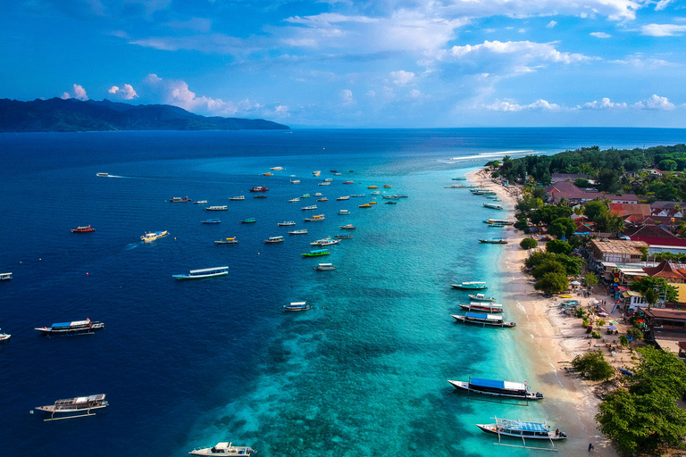 Labuan Bajo: 5-Day Komodo to Gili Trawangan Whale Shark Tour Standart Boat | Sharing Deck | No WHALE SHARK