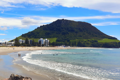 Nuova Zelanda: Tour guidato di 43 giorni dell&#039;Isola del Nord con campeggio