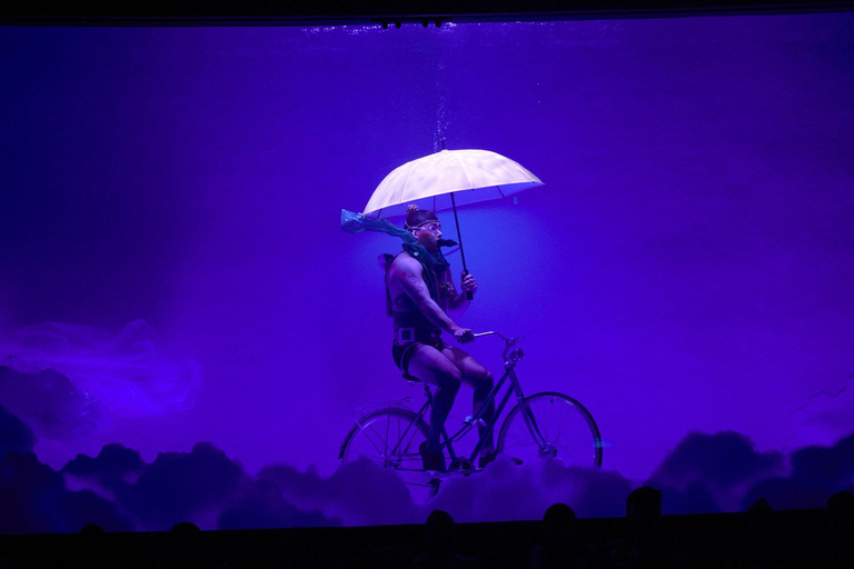 Cirque du Soleil LUDÕ — Vallarta Premium Balcony Experience: Show, Champagne, and Canapés