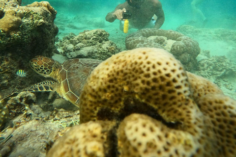 3 Gilis Snorkeling Tour Start Gili Air