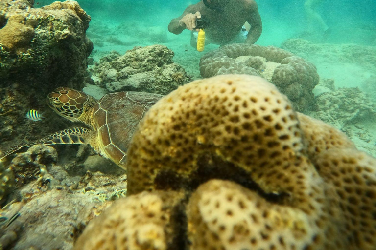 3 Gilis Snorkeling Tour Start Gili Air