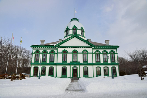 Sapporo: Ingresso para a Aldeia Histórica de Hokkaido