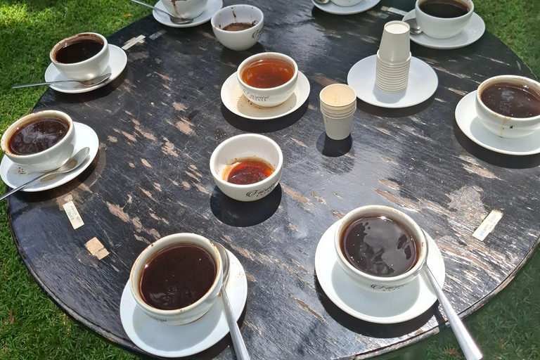 TOUR GIORNALIERO DELLA FATTORIA DEL CAFFÈ FAIRVIEW