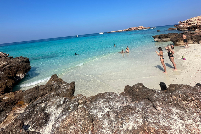 Private Snorkeling Tour - Ad Dimaniyat Islands