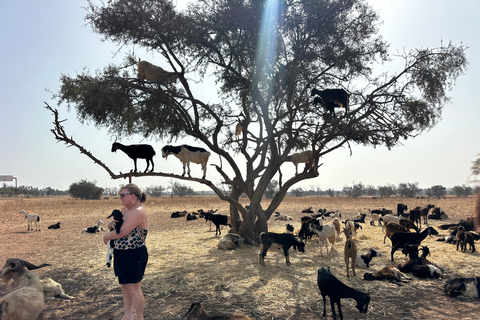 Agadir: Goats on Trees & Crocoparc Tour Goats on Trees & Crocoparc – Entry Ticket Included