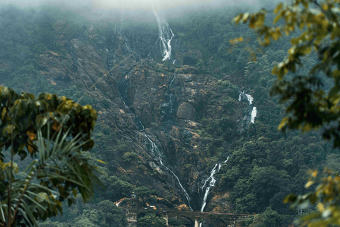 SIC Excursão de um dia à cascata de Dudhsagar e à plantação de especiarias