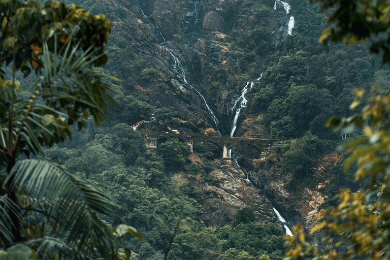 SIC Excursão de um dia à cascata de Dudhsagar e à plantação de especiarias