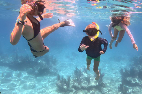 Guided Snorkel + Morning Sail