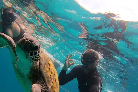 Ein Tag auf der Ilha Grande Schnorcheln mit Schildkröten Privado