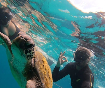 A day in Ilha Grande Snorkeling with turtles Privado