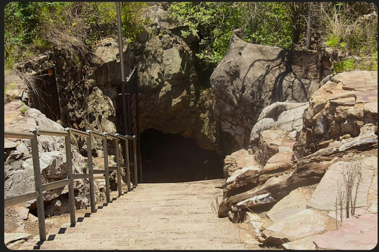 Johannesburg: Cradle Of Humankind & Fossil Discovery Tour